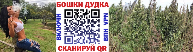 Бошки Шишки гибрид  Когалым 